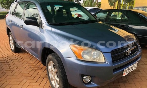 اشتري مستعمل Toyota RAV4 Bleu سيارة في Kigali في Rwanda اشتري مستعمل Toyota RAV4 Bleu سيارة في Kigali في Rwanda