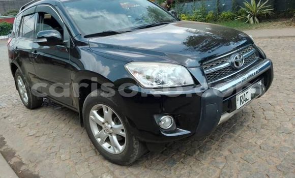 Buy Used Toyota RAV4 Black Car in Kigali in Rwanda Buy Used Toyota RAV4 Black Car in Kigali in Rwanda