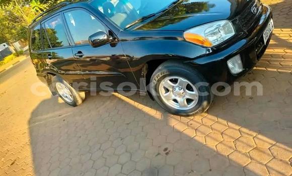 Buy Used Toyota RAV4 Black Car in Kigali in Rwanda Buy Used Toyota RAV4 Black Car in Kigali in Rwanda