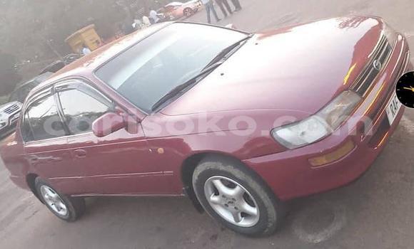 اشتري مستعمل Toyota Corolla Rouge سيارة في Kigali في Rwanda اشتري مستعمل Toyota Corolla Rouge سيارة في Kigali في Rwanda