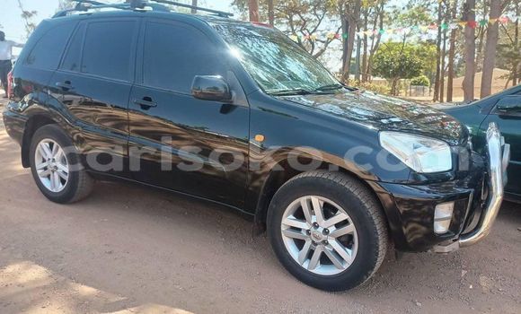 Buy Used Toyota RAV4 Black Car in Kigali in Rwanda Buy Used Toyota RAV4 Black Car in Kigali in Rwanda