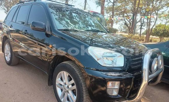 Buy Used Toyota RAV4 Black Car in Kigali in Rwanda Buy Used Toyota RAV4 Black Car in Kigali in Rwanda