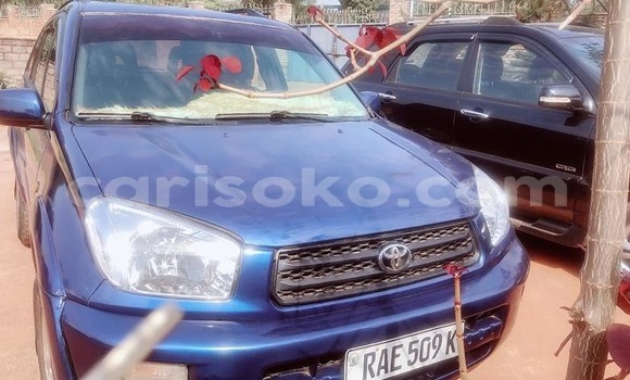اشتري مستعمل Toyota RAV4 Bleu سيارة في Kigali في Rwanda اشتري مستعمل Toyota RAV4 Bleu سيارة في Kigali في Rwanda