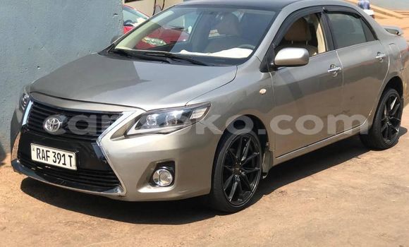 Buy Used Toyota Corolla Silver Car in Kigali in Rwanda Buy Used Toyota Corolla Silver Car in Kigali in Rwanda