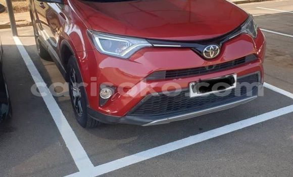 Buy Used Toyota RAV4 Red Car in Kigali in Rwanda Buy Used Toyota RAV4 Red Car in Kigali in Rwanda