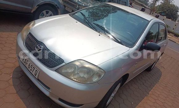 اشتري مستعمل Toyota Corolla Beige سيارة في Kigali في Rwanda اشتري مستعمل Toyota Corolla Beige سيارة في Kigali في Rwanda