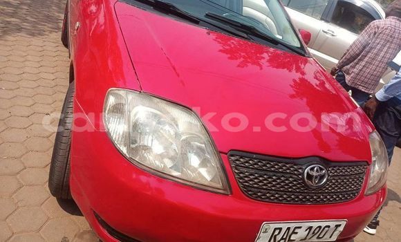 Buy Used Toyota Corolla Red Car in Kigali in Rwanda Buy Used Toyota Corolla Red Car in Kigali in Rwanda