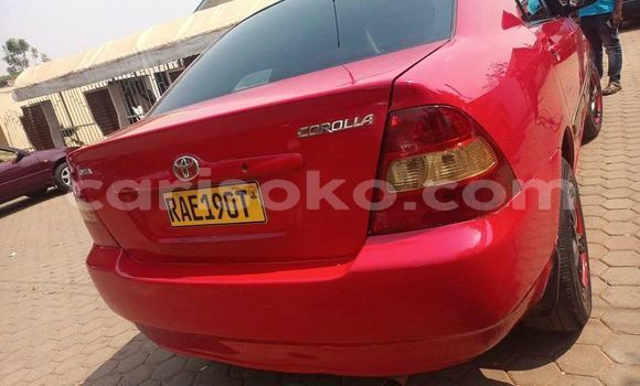 Buy Used Toyota Corolla Red Car in Kigali in Rwanda Buy Used Toyota Corolla Red Car in Kigali in Rwanda