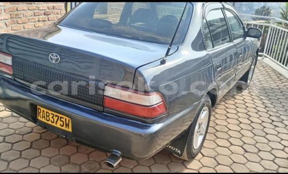 اشتري مستعمل Toyota Corolla Noir سيارة في Kigali في Rwanda اشتري مستعمل Toyota Corolla Noir سيارة في Kigali في Rwanda