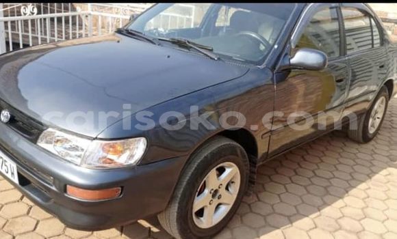 اشتري مستعمل Toyota Corolla Noir سيارة في Kigali في Rwanda اشتري مستعمل Toyota Corolla Noir سيارة في Kigali في Rwanda