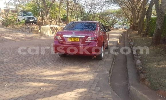 Buy Used Toyota Corolla Red Car in Kigali in Rwanda Buy Used Toyota Corolla Red Car in Kigali in Rwanda