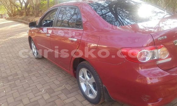 Buy Used Toyota Corolla Red Car in Kigali in Rwanda Buy Used Toyota Corolla Red Car in Kigali in Rwanda