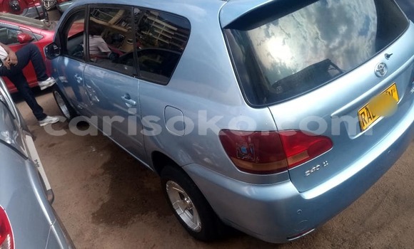 اشتري مستعمل Toyota Ipsum Bleu سيارة في Kigali في Rwanda اشتري مستعمل Toyota Ipsum Bleu سيارة في Kigali في Rwanda