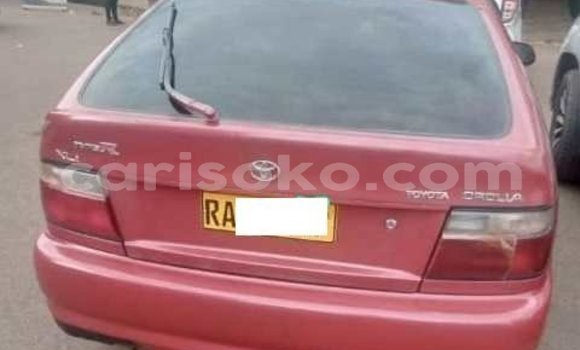 اشتري مستعمل Toyota Corolla Rouge سيارة في Kigali في Rwanda اشتري مستعمل Toyota Corolla Rouge سيارة في Kigali في Rwanda