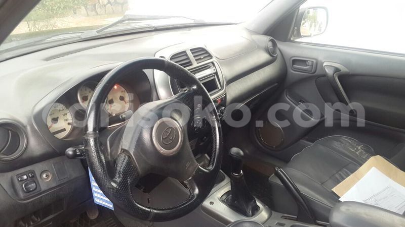 Big with watermark indani