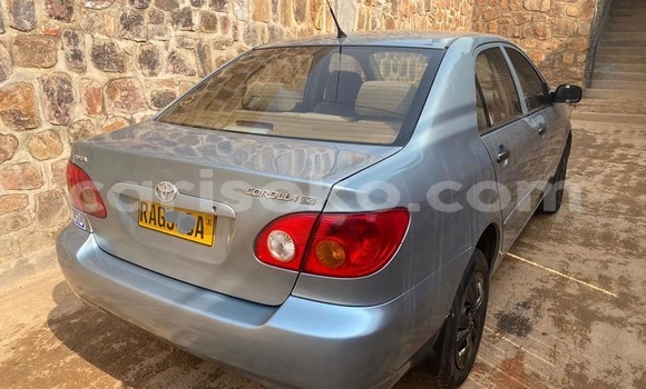 اشتري مستعمل Toyota Corolla Gris سيارة في Kigali في Rwanda اشتري مستعمل Toyota Corolla Gris سيارة في Kigali في Rwanda
