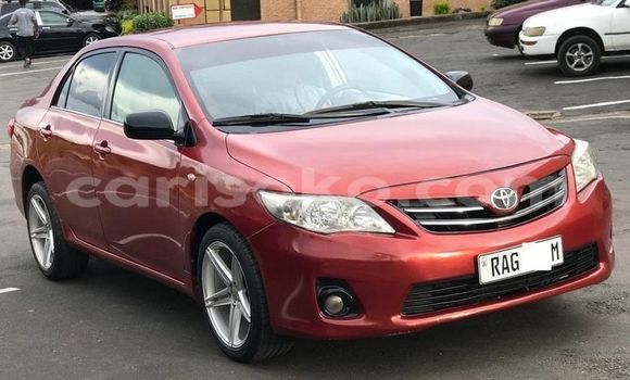 Acheter Occasion Voiture Toyota Corolla Rouge à Kigali, Rwanda Acheter Occasion Voiture Toyota Corolla Rouge à Kigali, Rwanda