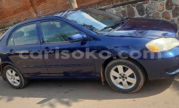Acheter Occasion Voiture Toyota Corolla Bleu à Kigali, Rwanda Acheter Occasion Voiture Toyota Corolla Bleu à Kigali, Rwanda