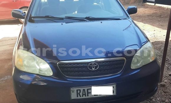 Acheter Occasion Voiture Toyota Corolla Bleu à Kigali, Rwanda Acheter Occasion Voiture Toyota Corolla Bleu à Kigali, Rwanda