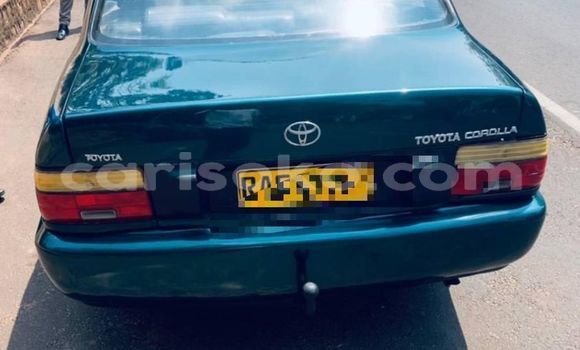 Buy Used Toyota Corolla Blue Car in Kigali in Rwanda Buy Used Toyota Corolla Blue Car in Kigali in Rwanda