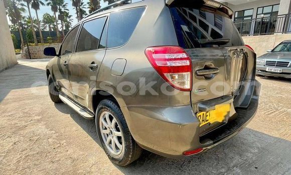 Buy Used Toyota RAV4 Silver Car in Kigali in Rwanda Buy Used Toyota RAV4 Silver Car in Kigali in Rwanda