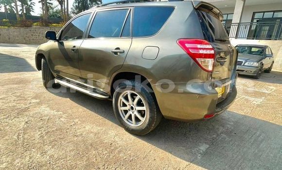 Buy Used Toyota RAV4 Silver Car in Kigali in Rwanda Buy Used Toyota RAV4 Silver Car in Kigali in Rwanda