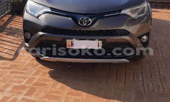 اشتري مستعمل Toyota RAV4 Gris سيارة في Kigali في Rwanda اشتري مستعمل Toyota RAV4 Gris سيارة في Kigali في Rwanda