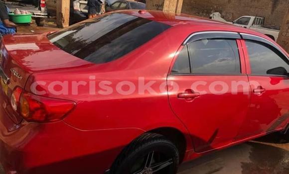 اشتري مستعمل Toyota Corolla Rouge سيارة في Kigali في Rwanda اشتري مستعمل Toyota Corolla Rouge سيارة في Kigali في Rwanda