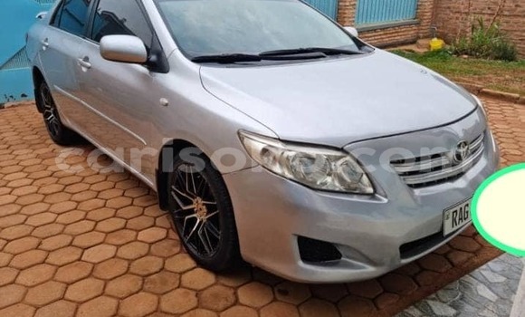 Buy Used Toyota Corolla Other Car in Kigali in Rwanda Buy Used Toyota Corolla Other Car in Kigali in Rwanda