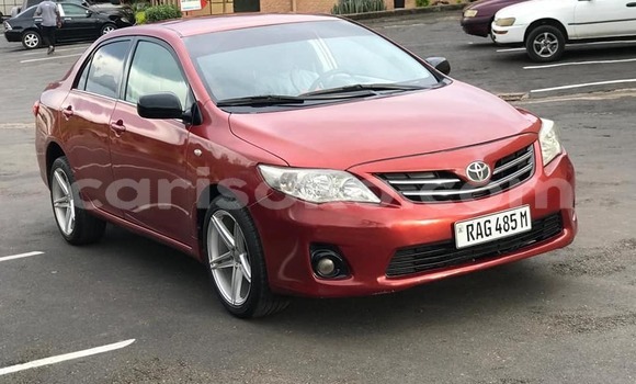 Buy Used Toyota Corolla Red Car in Kigali in Rwanda Buy Used Toyota Corolla Red Car in Kigali in Rwanda