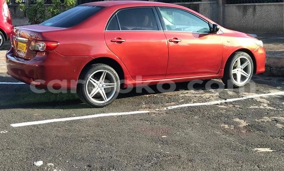 Buy Used Toyota Corolla Red Car in Kigali in Rwanda Buy Used Toyota Corolla Red Car in Kigali in Rwanda