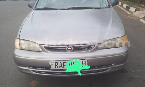 Buy Used Toyota Corolla Other Car in Kigali in Rwanda Buy Used Toyota Corolla Other Car in Kigali in Rwanda