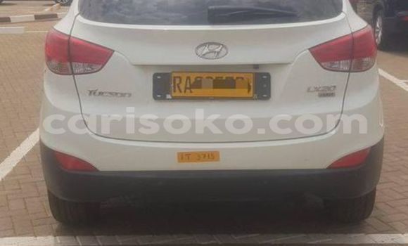 Buy Used Hyundai Tucson White Car in Kigali in Rwanda Buy Used Hyundai Tucson White Car in Kigali in Rwanda