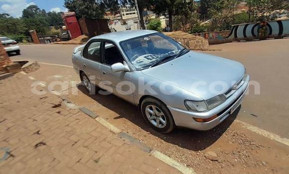 Acheter Occasion Voiture Mercedes-Benz 190–Series Gris à Kigali, Rwanda Acheter Occasion Voiture Mercedes-Benz 190–Series Gris à Kigali, Rwanda