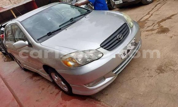 اشتري مستعمل Toyota Corolla Autre سيارة في Kigali في Rwanda اشتري مستعمل Toyota Corolla Autre سيارة في Kigali في Rwanda