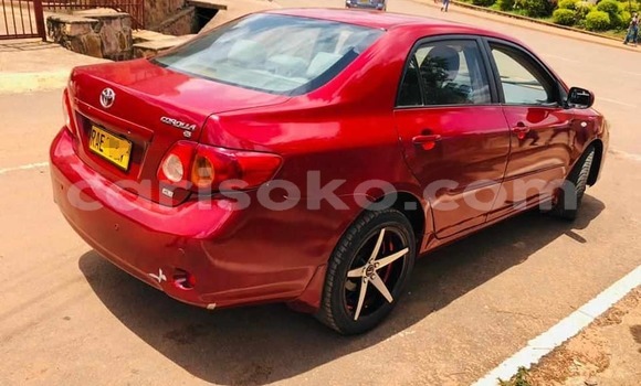 Acheter Occasion Voiture Toyota Corolla Rouge à Kigali, Rwanda Acheter Occasion Voiture Toyota Corolla Rouge à Kigali, Rwanda