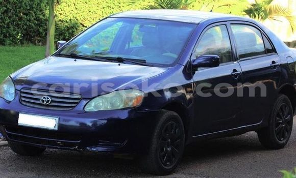 Acheter Occasion Voiture Toyota Corolla Bleu à Kigali, Rwanda Acheter Occasion Voiture Toyota Corolla Bleu à Kigali, Rwanda