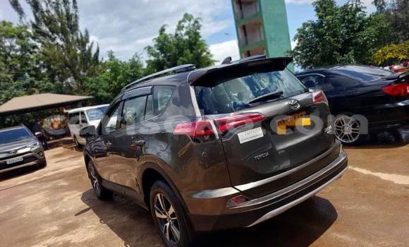 اشتري مستعمل Toyota RAV4 Gris سيارة في Kigali في Rwanda اشتري مستعمل Toyota RAV4 Gris سيارة في Kigali في Rwanda