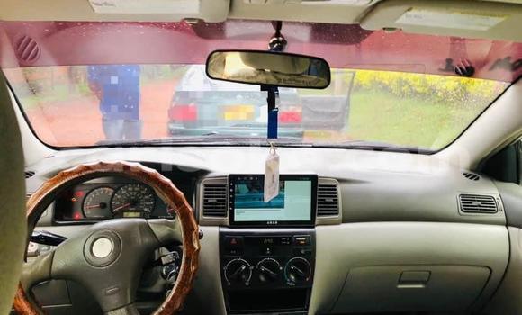 اشتري مستعمل Toyota Corolla Autre سيارة في Kigali في Rwanda اشتري مستعمل Toyota Corolla Autre سيارة في Kigali في Rwanda