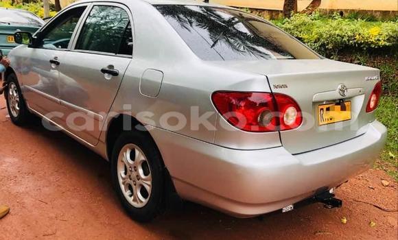 اشتري مستعمل Toyota Corolla Autre سيارة في Kigali في Rwanda اشتري مستعمل Toyota Corolla Autre سيارة في Kigali في Rwanda