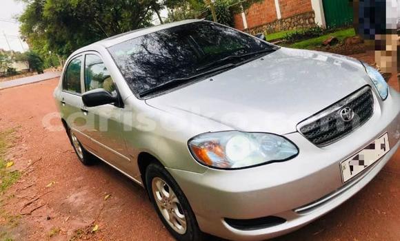 اشتري مستعمل Toyota Corolla Autre سيارة في Kigali في Rwanda اشتري مستعمل Toyota Corolla Autre سيارة في Kigali في Rwanda