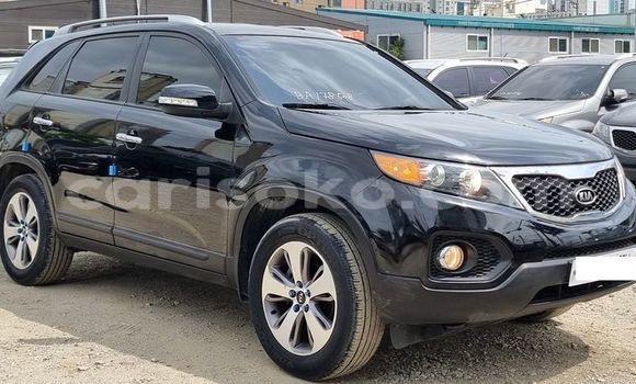 Buy Used Kia Sorento Black Car in Kigali in Rwanda Buy Used Kia Sorento Black Car in Kigali in Rwanda