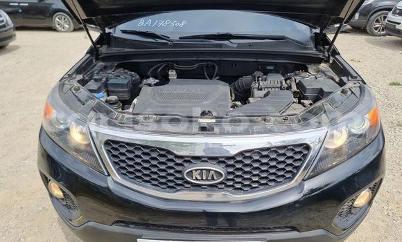 Buy Used Kia Sorento Black Car in Kigali in Rwanda Buy Used Kia Sorento Black Car in Kigali in Rwanda