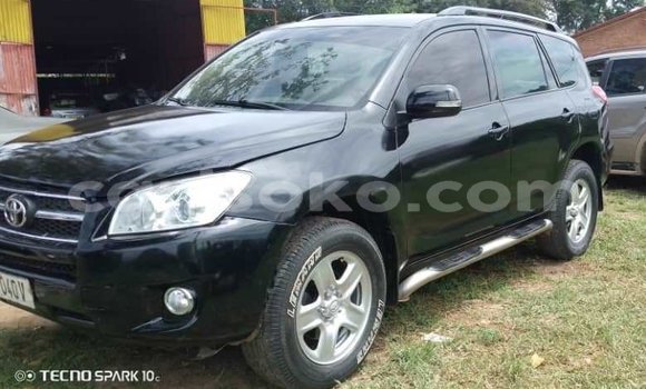 Buy Used Toyota RAV4 Black Car in Kigali in Rwanda Buy Used Toyota RAV4 Black Car in Kigali in Rwanda