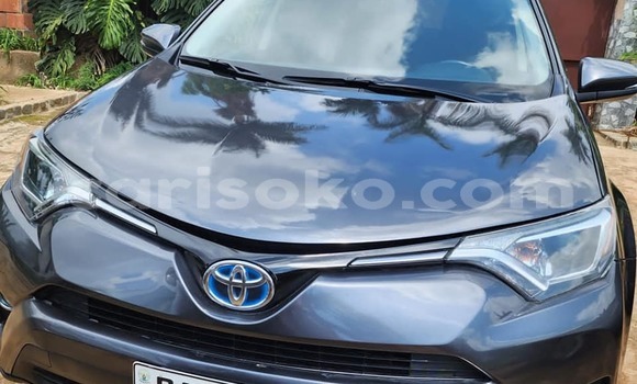 Buy Used Toyota RAV4 Black Car in Kigali in Rwanda Buy Used Toyota RAV4 Black Car in Kigali in Rwanda