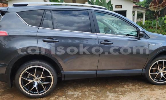 Buy Used Toyota RAV4 Black Car in Kigali in Rwanda Buy Used Toyota RAV4 Black Car in Kigali in Rwanda