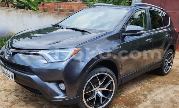 Buy Used Toyota RAV4 Black Car in Kigali in Rwanda Buy Used Toyota RAV4 Black Car in Kigali in Rwanda