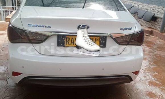 Buy Used Hyundai Sonata White Car in Kigali in Rwanda Buy Used Hyundai Sonata White Car in Kigali in Rwanda