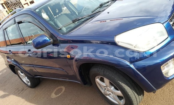 Buy Used Toyota RAV4 Blue Car in Kigali in Rwanda Buy Used Toyota RAV4 Blue Car in Kigali in Rwanda