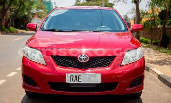 Buy Used Toyota Corolla Red Car in Kigali in Rwanda Buy Used Toyota Corolla Red Car in Kigali in Rwanda